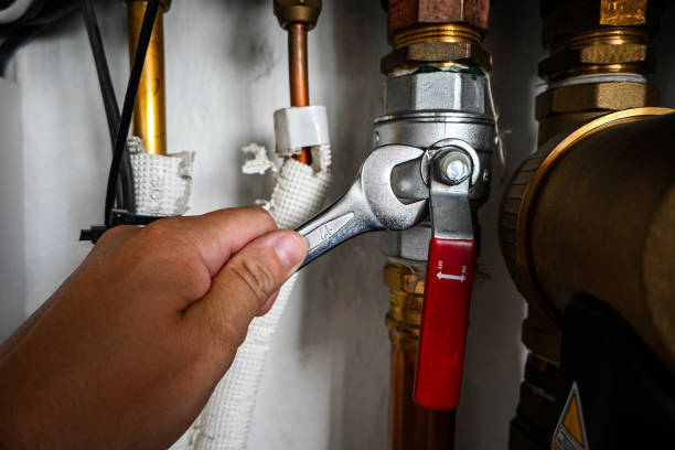 Best Affordable Plumbing Services  in The Homesteads, TX